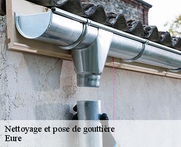 nettoyage-et-pose-de-gouttiere-2