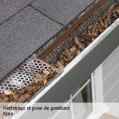 nettoyage-et-pose-de-gouttiere-5