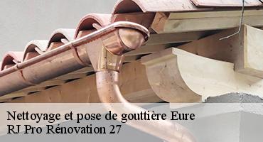 nettoyage-et-pose-de-gouttiere-1