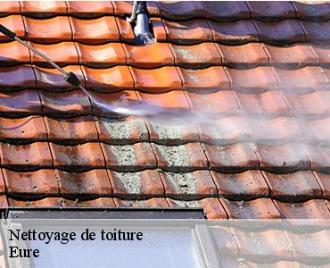 nettoyage-de-toiture-2