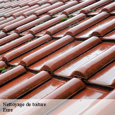 nettoyage-de-toiture-5