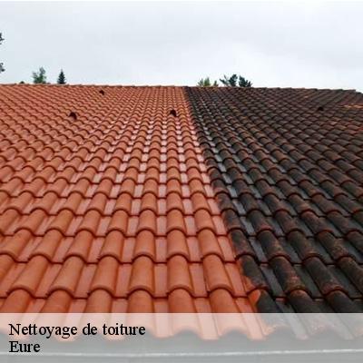 nettoyage-de-toiture-8