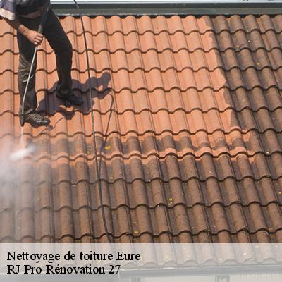nettoyage-de-toiture-4