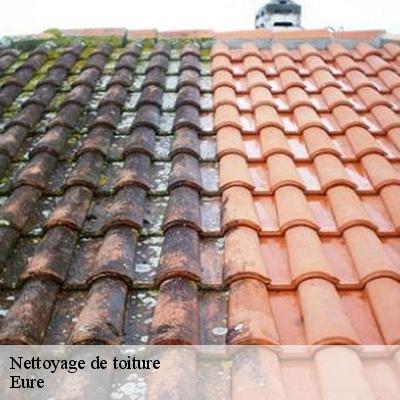 nettoyage-de-toiture-5
