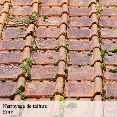 nettoyage-de-toiture-8