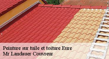 peinture-sur-tuile-et-toiture-1