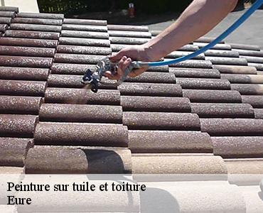 peinture-sur-tuile-et-toiture-2