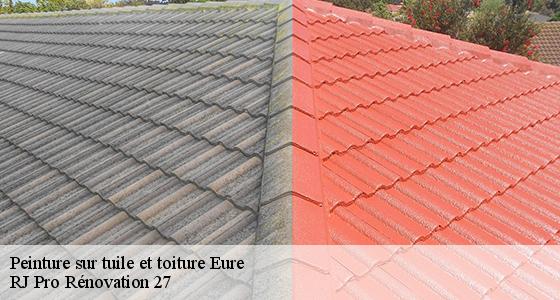 peinture-sur-tuile-et-toiture-7