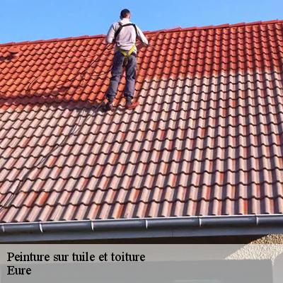 peinture-sur-tuile-et-toiture-8