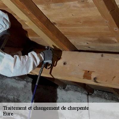 traitement-et-changement-de-charpente-5