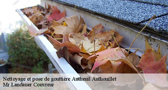 nettoyage-et-pose-de-gouttiere-7