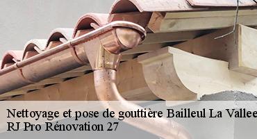 nettoyage-et-pose-de-gouttiere-1