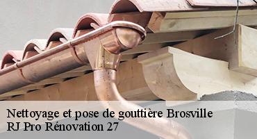 nettoyage-et-pose-de-gouttiere-1