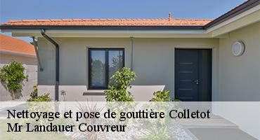 nettoyage-et-pose-de-gouttiere-1