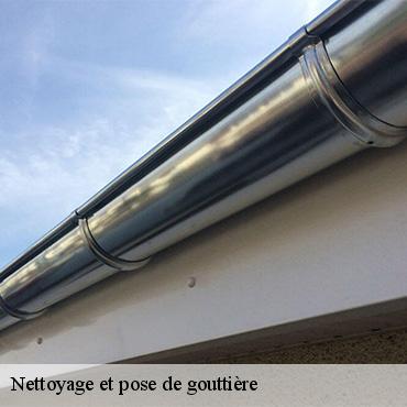 nettoyage-et-pose-de-gouttiere-3