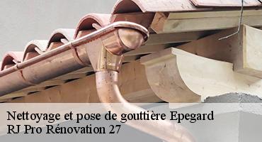 nettoyage-et-pose-de-gouttiere-1