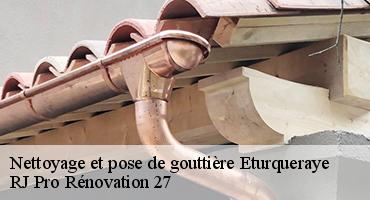 nettoyage-et-pose-de-gouttiere-1