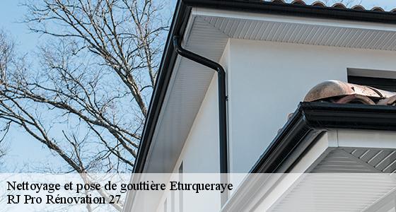 nettoyage-et-pose-de-gouttiere-7