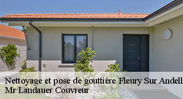 nettoyage-et-pose-de-gouttiere-1