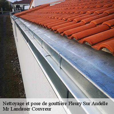 nettoyage-et-pose-de-gouttiere-4