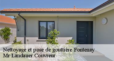 nettoyage-et-pose-de-gouttiere-1