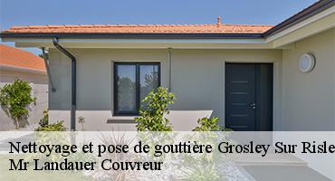 nettoyage-et-pose-de-gouttiere-1