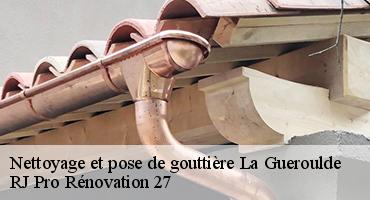 nettoyage-et-pose-de-gouttiere-1
