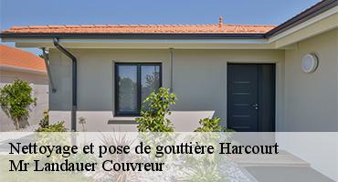 nettoyage-et-pose-de-gouttiere-1