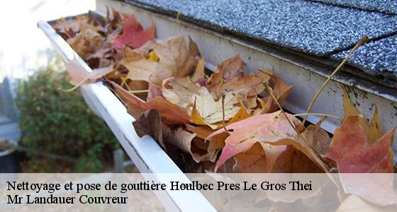 nettoyage-et-pose-de-gouttiere-7