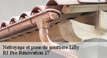 nettoyage-et-pose-de-gouttiere-1
