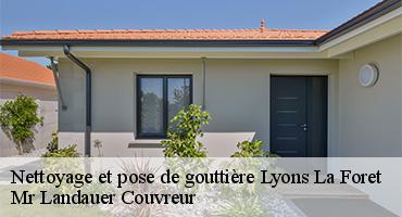 nettoyage-et-pose-de-gouttiere-1