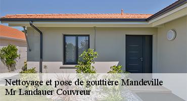 nettoyage-et-pose-de-gouttiere-1