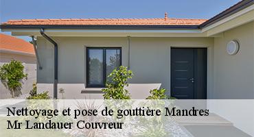 nettoyage-et-pose-de-gouttiere-1