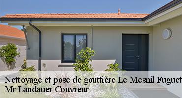 nettoyage-et-pose-de-gouttiere-1