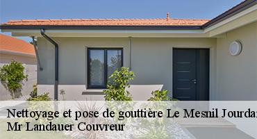 nettoyage-et-pose-de-gouttiere-1