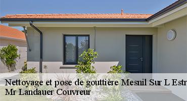 nettoyage-et-pose-de-gouttiere-1