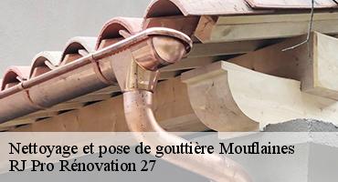nettoyage-et-pose-de-gouttiere-1