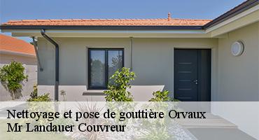 nettoyage-et-pose-de-gouttiere-1