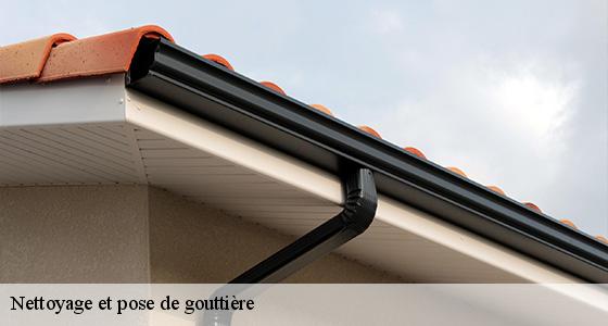 nettoyage-et-pose-de-gouttiere-6