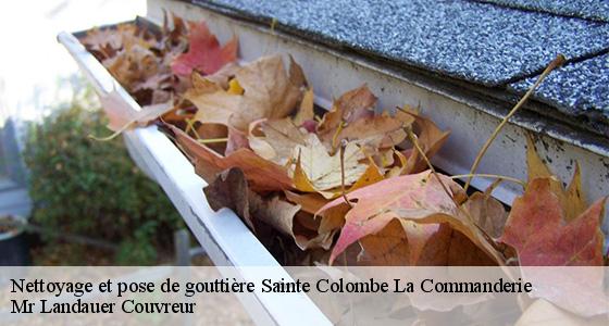 nettoyage-et-pose-de-gouttiere-7