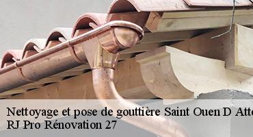 nettoyage-et-pose-de-gouttiere-1
