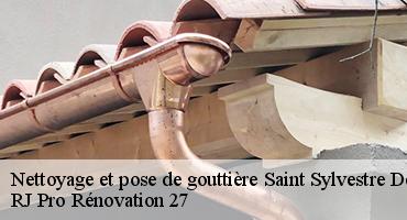 nettoyage-et-pose-de-gouttiere-1