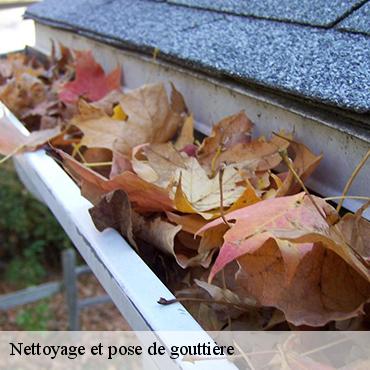 nettoyage-et-pose-de-gouttiere-3