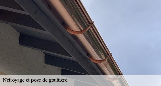 nettoyage-et-pose-de-gouttiere-6