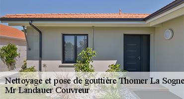 nettoyage-et-pose-de-gouttiere-1