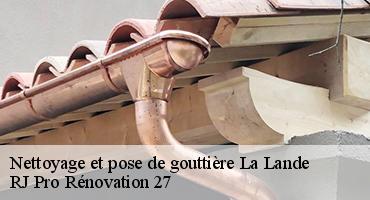 nettoyage-et-pose-de-gouttiere-1