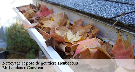 nettoyage-et-pose-de-gouttiere-7