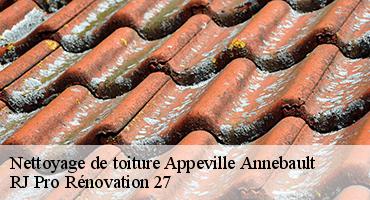 nettoyage-de-toiture-1