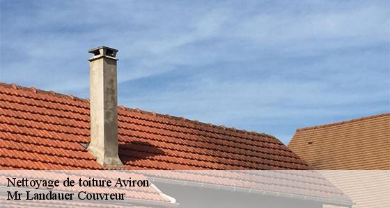 nettoyage-de-toiture-7