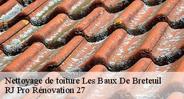 nettoyage-de-toiture-1